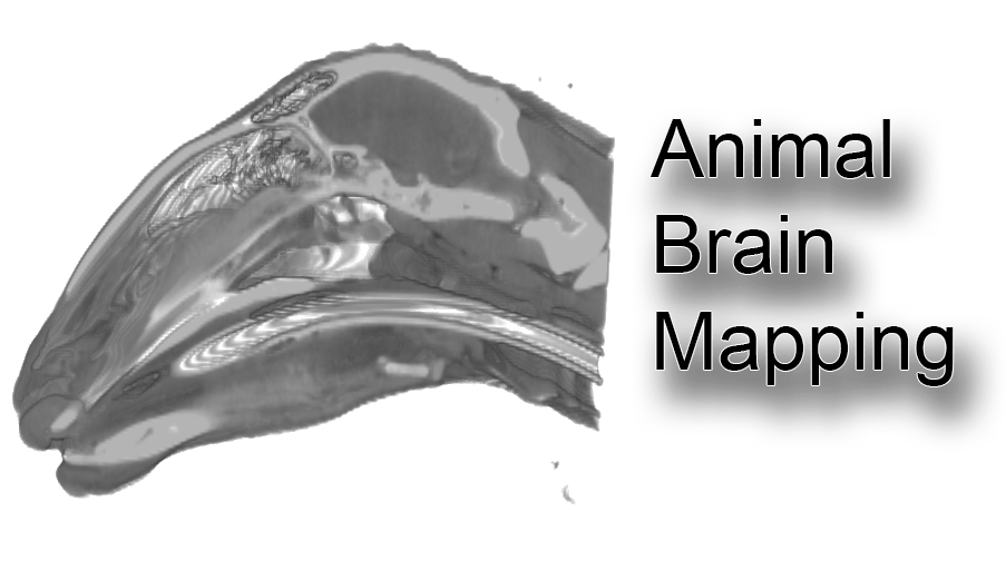 brainmapping.matrikel2001.de
